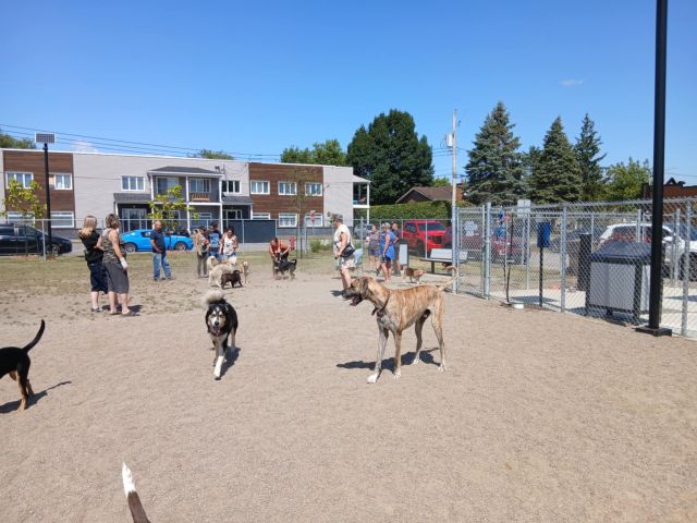 parc canin2