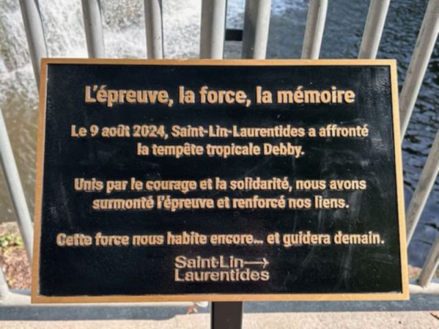 plaque