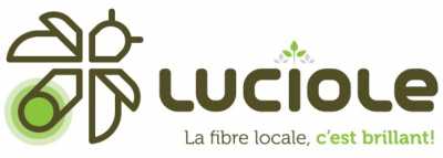 luciole