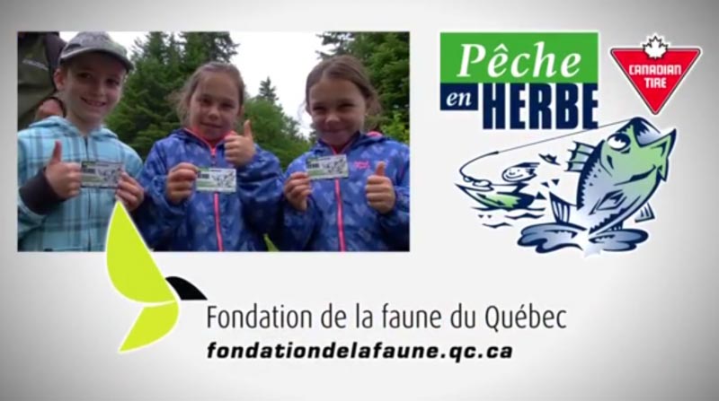 peche en herbe