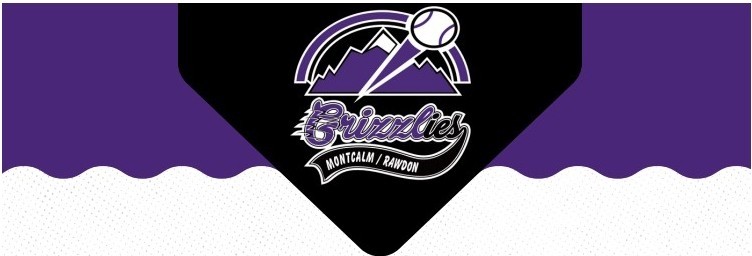 logogrizzlies
